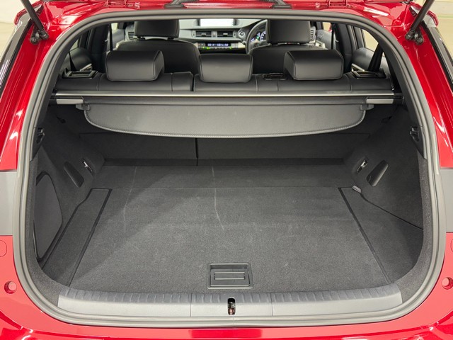 レクサス CT200h F SPORT