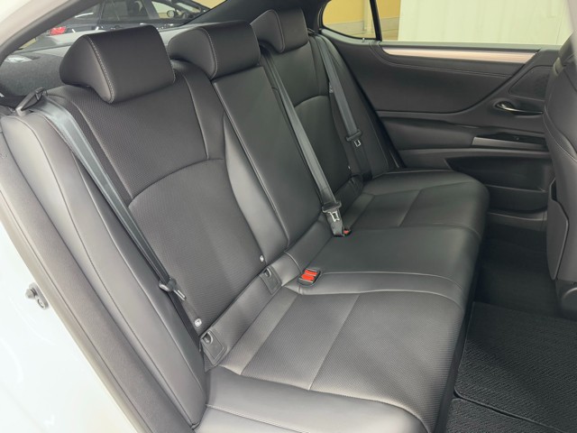 レクサス ES300h F SPORT