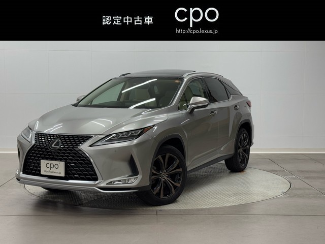 RX300 version L