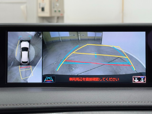 レクサス UX250h F SPORT