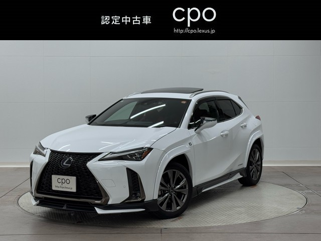 UX250h F SPORT