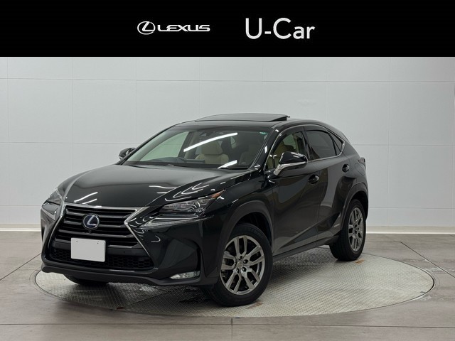 NX300h version L