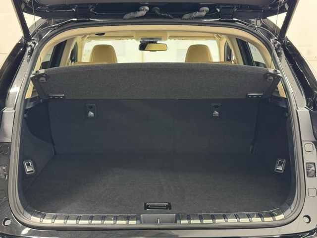 レクサス NX300h version L