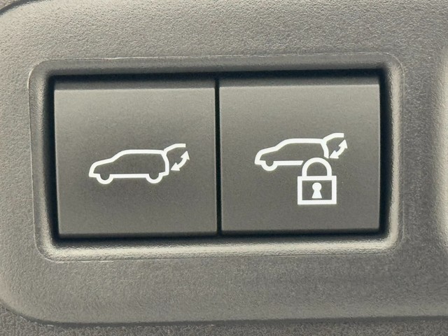 レクサス UX200 F SPORT Emo.Ex