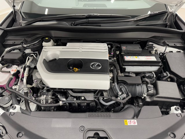 レクサス UX200 F SPORT Emo.Ex