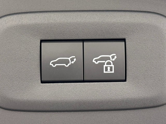 レクサス RZ450e version L