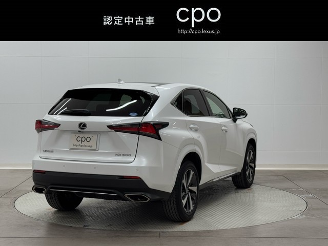 レクサス NX300 I package