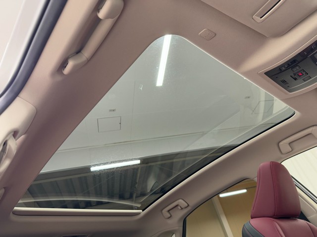 レクサス NX300 I package