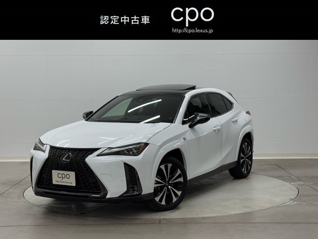 UX250h F Emotional E