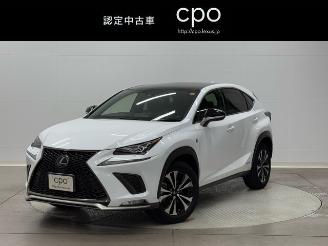 NX300h F SPORT