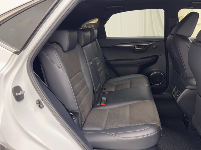 レクサス NX300h F SPORT