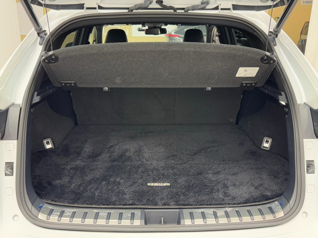 レクサス NX300h F SPORT