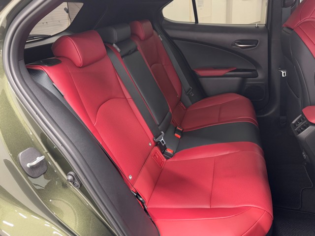 レクサス UX300h F SPORT AWD