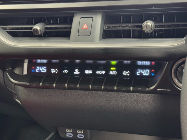 レクサス UX300h F SPORT AWD
