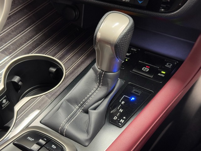 レクサス RX300 F SPORT