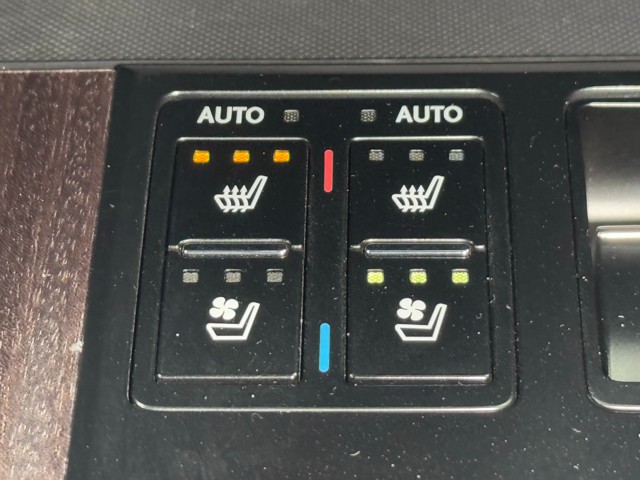 レクサス RX300 F SPORT