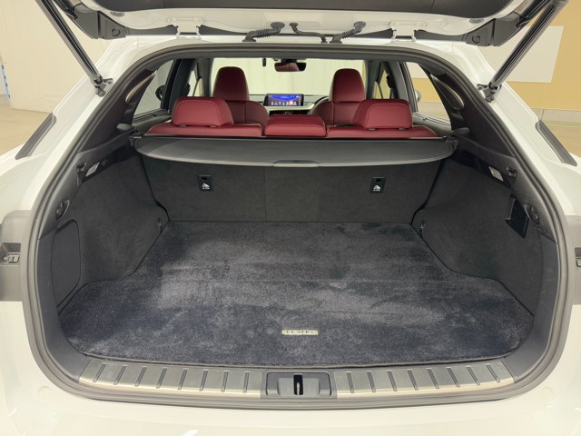 レクサス RX300 F SPORT