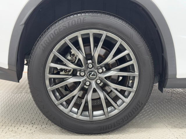 レクサス RX300 F SPORT