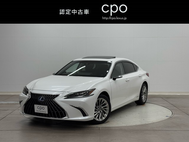 ES300h version L