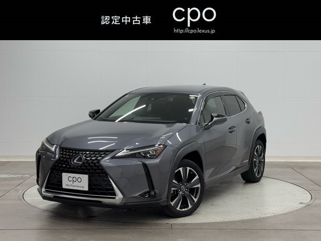 UX250h version L