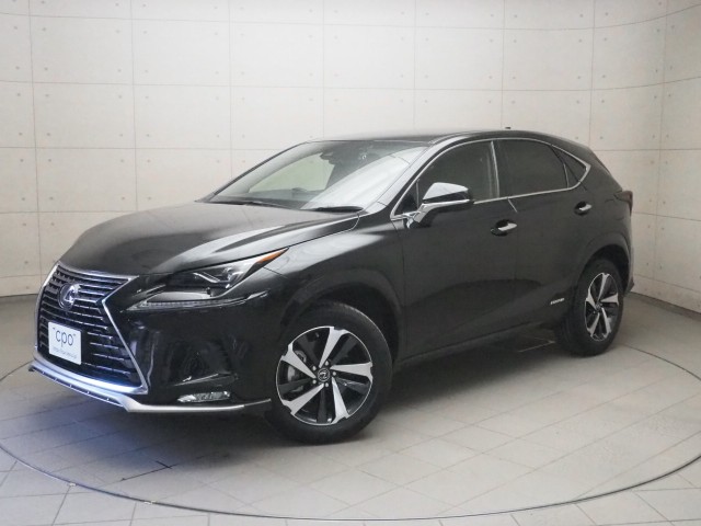 レクサス NX300h スパイス&シック