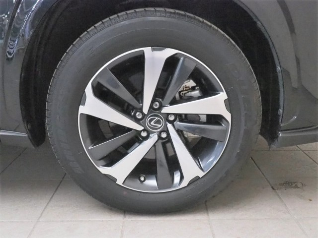 レクサス NX300h スパイス&シック