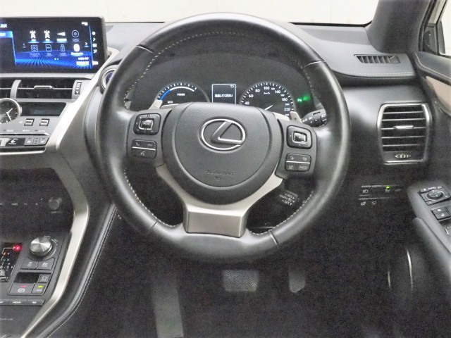 レクサス NX300h スパイス&シック