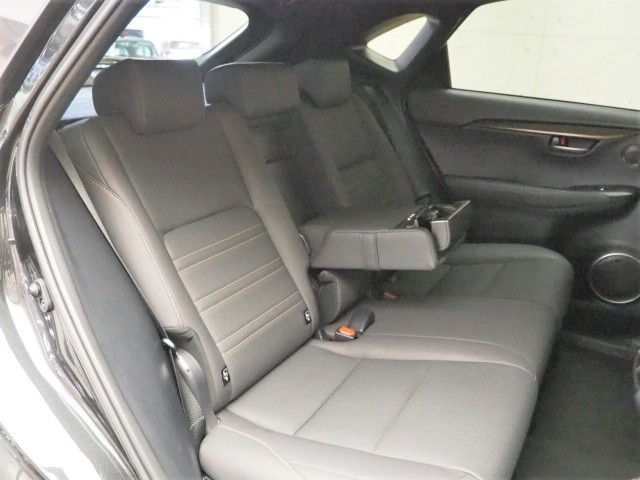 レクサス NX300h スパイス&シック