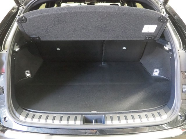 レクサス NX300h スパイス&シック