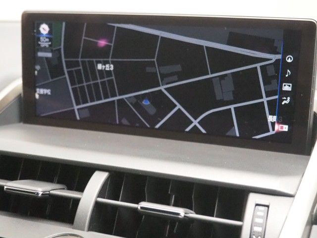 レクサス NX300h スパイス&シック