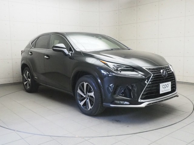 レクサス NX300h スパイス&シック
