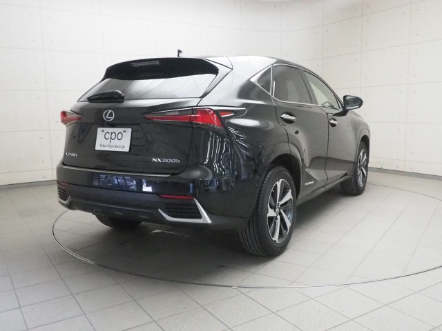 レクサス NX300h スパイス&シック