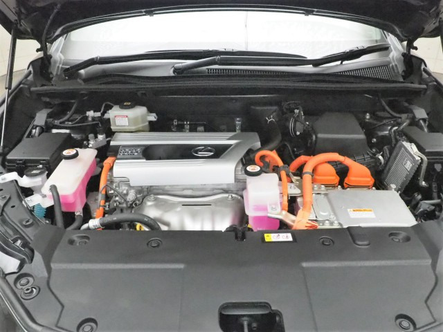 レクサス NX300h スパイス&シック