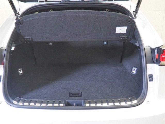 レクサス NX300 スパイス&シック