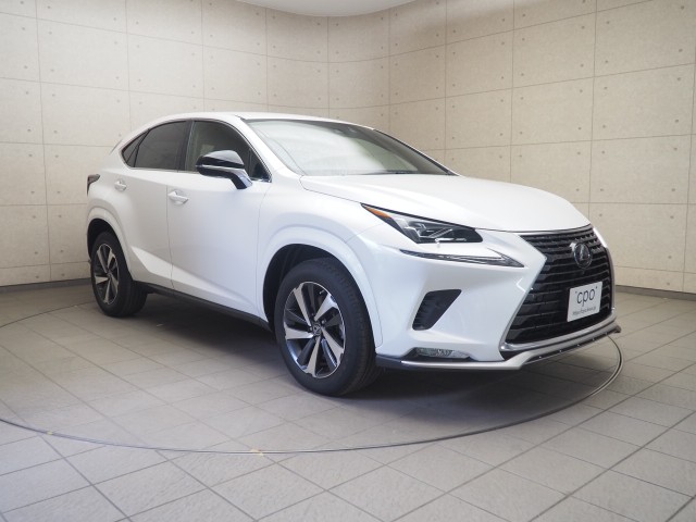 レクサス NX300 スパイス&シック