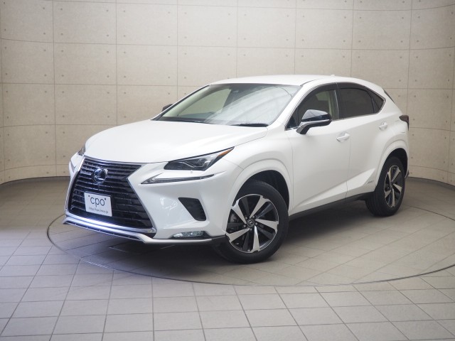 NX300h スパイク&シック