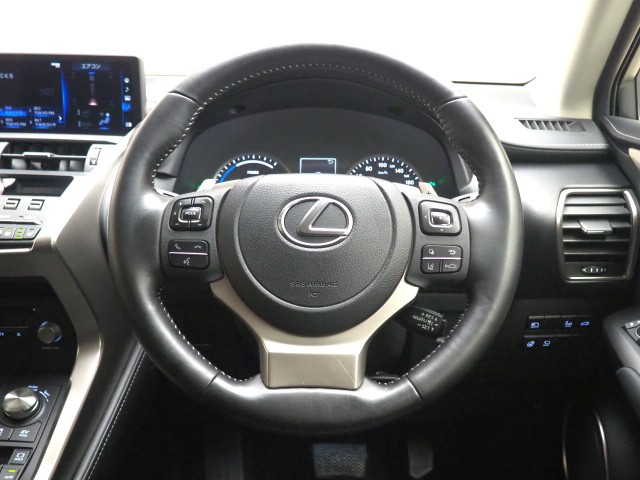 レクサス NX300h スパイク&シック