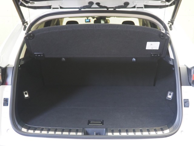 レクサス NX300h スパイク&シック