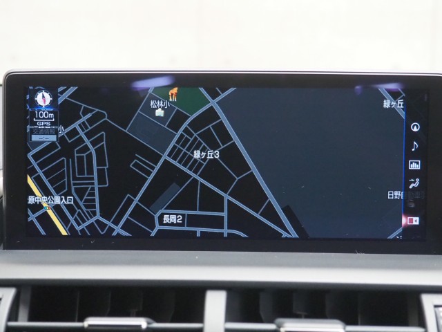 レクサス NX300h スパイク&シック