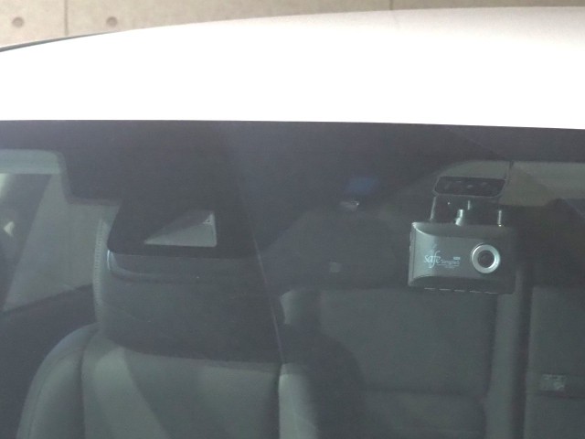 レクサス NX300h スパイク&シック