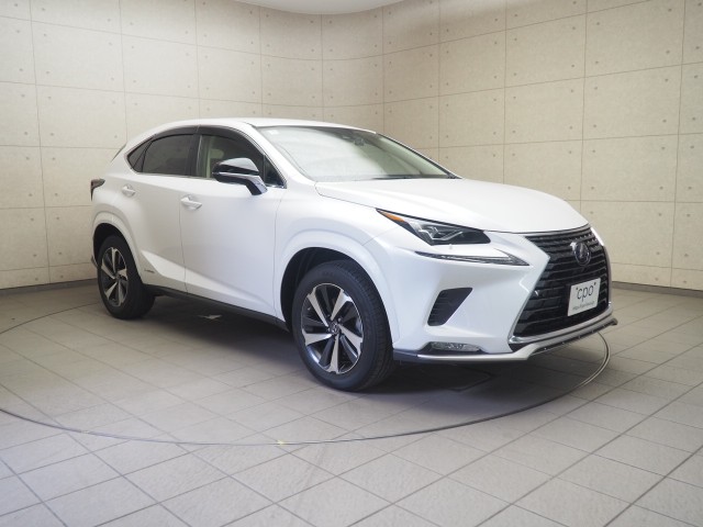レクサス NX300h スパイク&シック