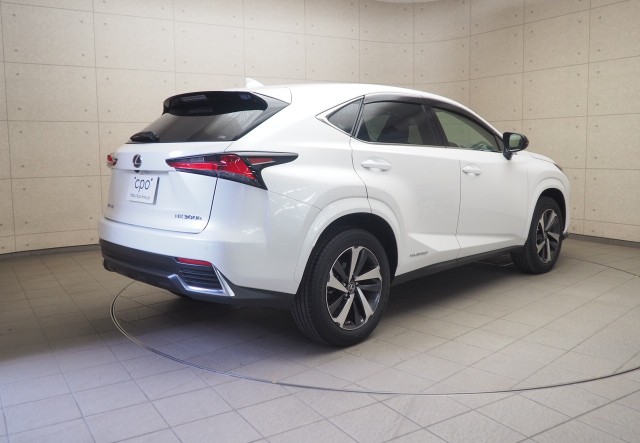 レクサス NX300h スパイク&シック