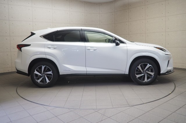 レクサス NX300h スパイク&シック