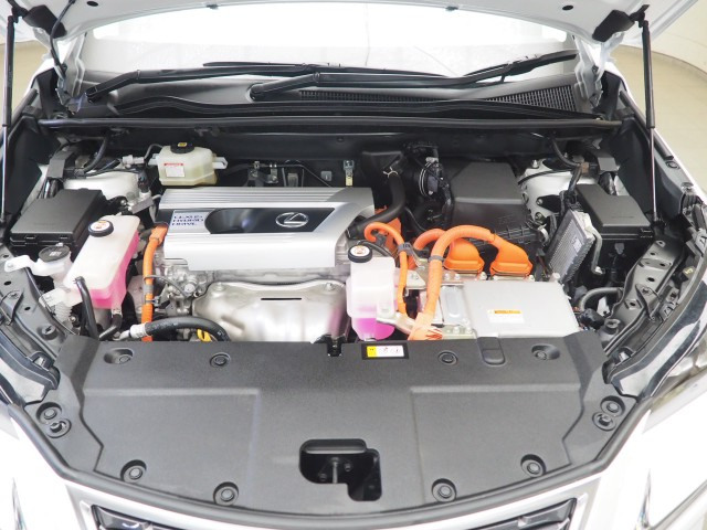 レクサス NX300h スパイク&シック