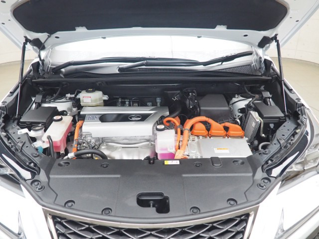 レクサス NX300h Fスポーツ