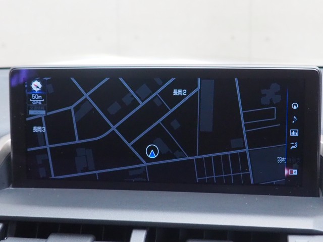 レクサス NX300 クール&ブライト