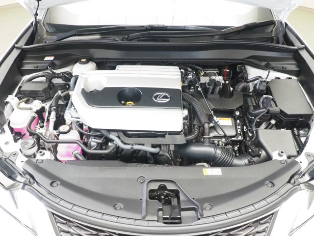 レクサス UX250h Fスポエモ Exp