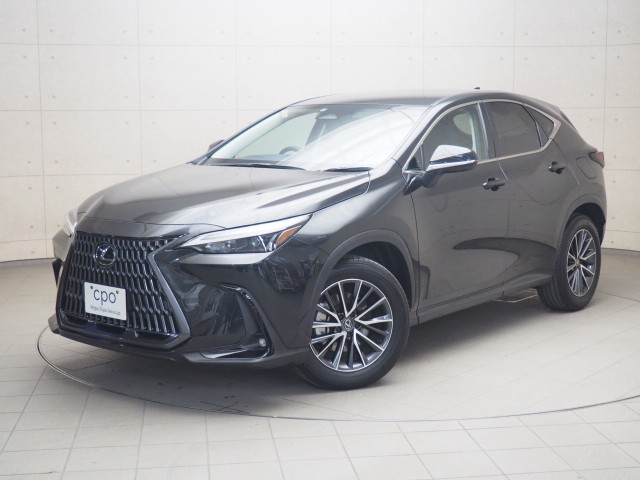 NX350h ヒョウジュンシャ