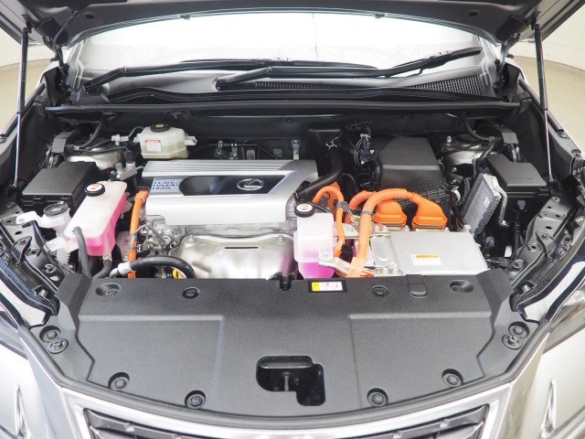 レクサス NX300h スパイス&シック
