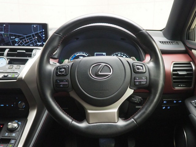 レクサス NX300h スパイス&シック
